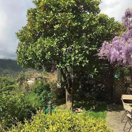 Apartment Ca' Du Vanne - Bikers Friendly Tovo San Giacomo